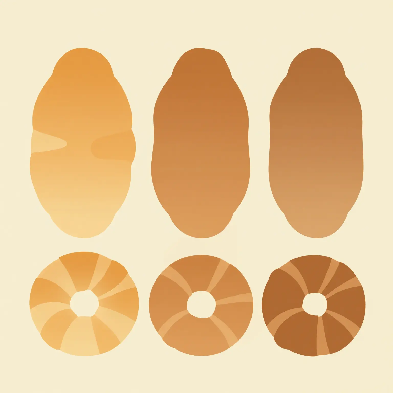 Flat vector illustration showing a stylized round Rosca in three side-by-side stages of crust finish: high gloss with a subtle sheen, a mid-tone matte finish, and a dry dull finish, illustrating how crust shine fades with the bake hour.